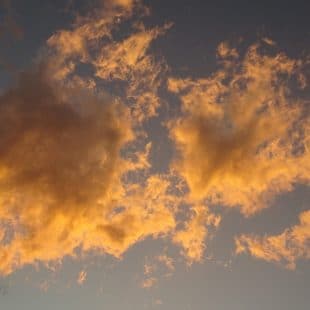 DSC00213 scaled 1 DSC00213 scaled 1