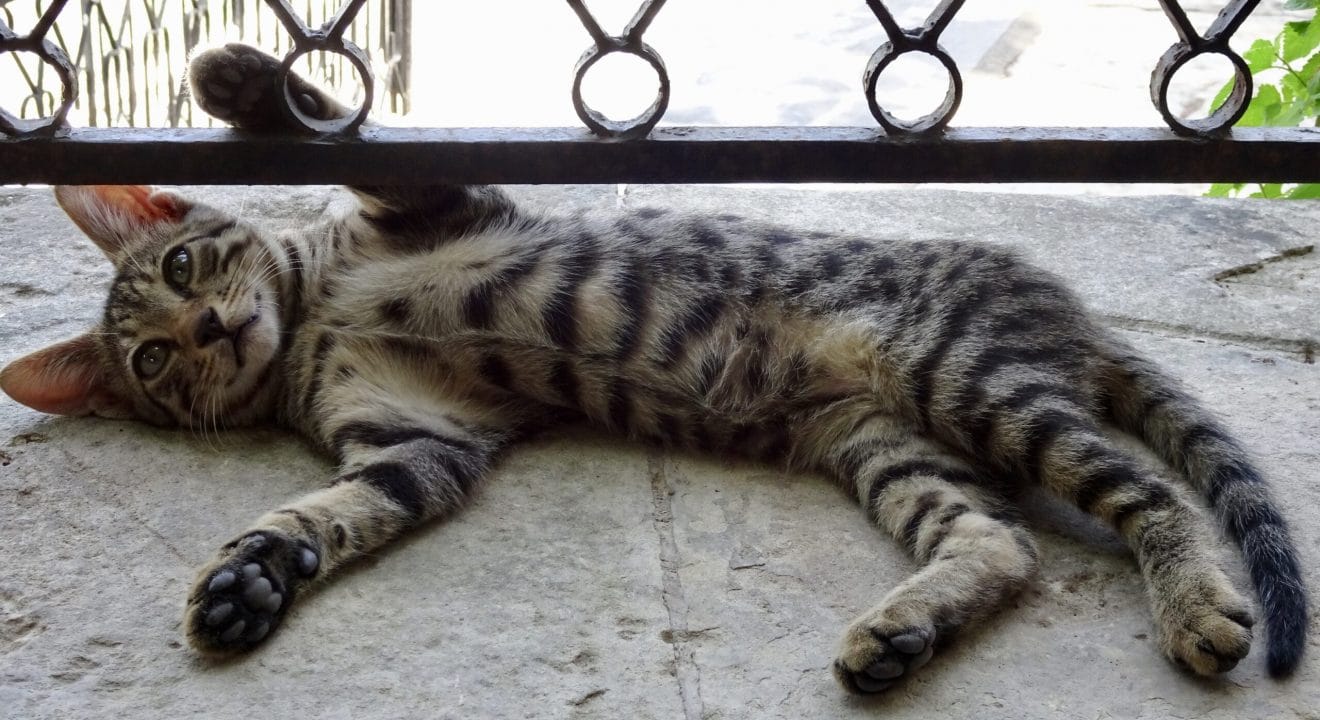 fullsizeoutput 129e scaled 3 fullsizeoutput 129e scaled 3