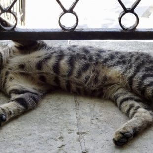 fullsizeoutput 129e scaled 3 fullsizeoutput 129e scaled 3