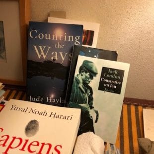 IMG 2986 e1546370759777 2 IMG 2986 e1546370759777 2