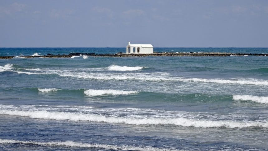 fullsizeoutput 1477 scaled 2 fullsizeoutput 1477 scaled 2