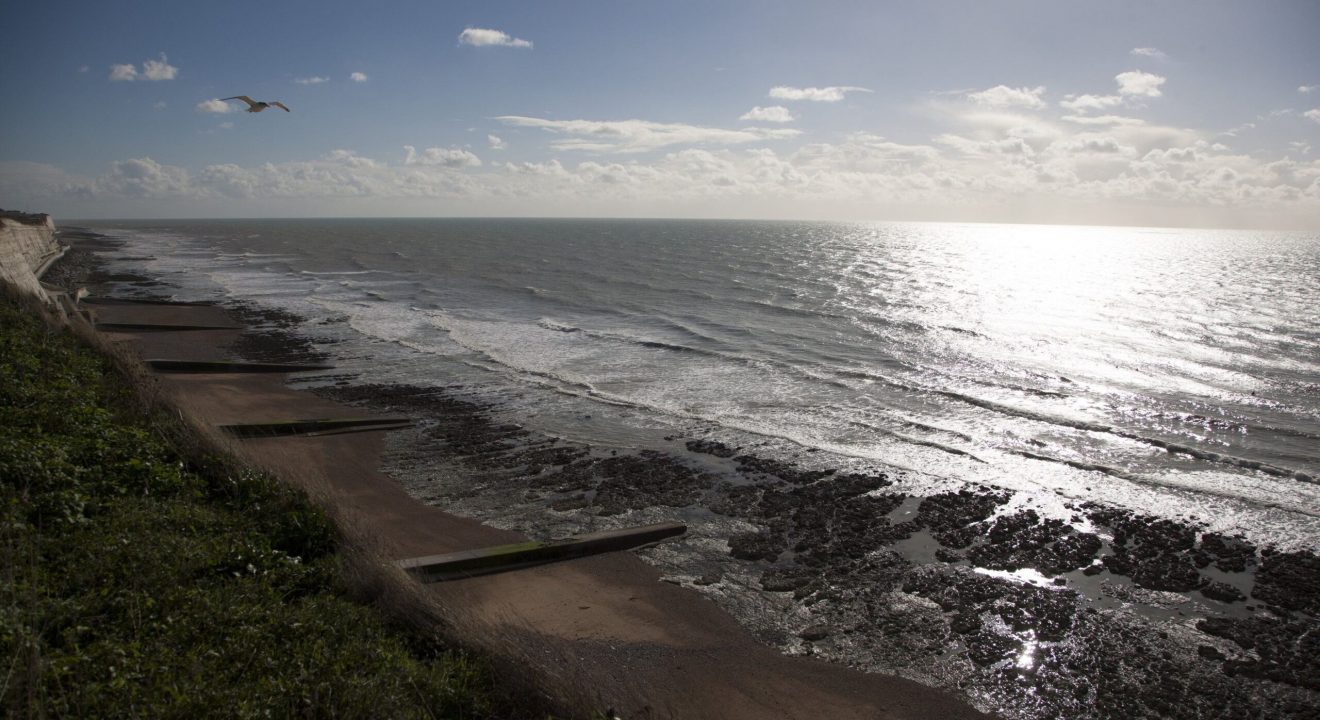 peacehaven scaled 1 peacehaven scaled 1