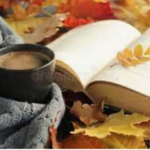 Screenshot 2022 10 23 at 16.39.24 Screenshot 2022 10 23 at 16.39.24