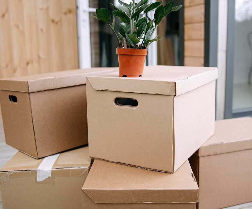 pexels photo 8962279 brown cardboard box with green plant